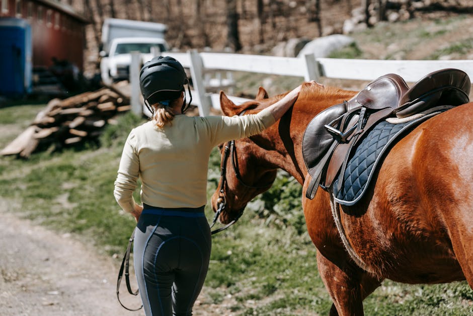 Kaltblutpferd kaufen 🐴: Das ultimative Freizeit- und Kutschenpferd